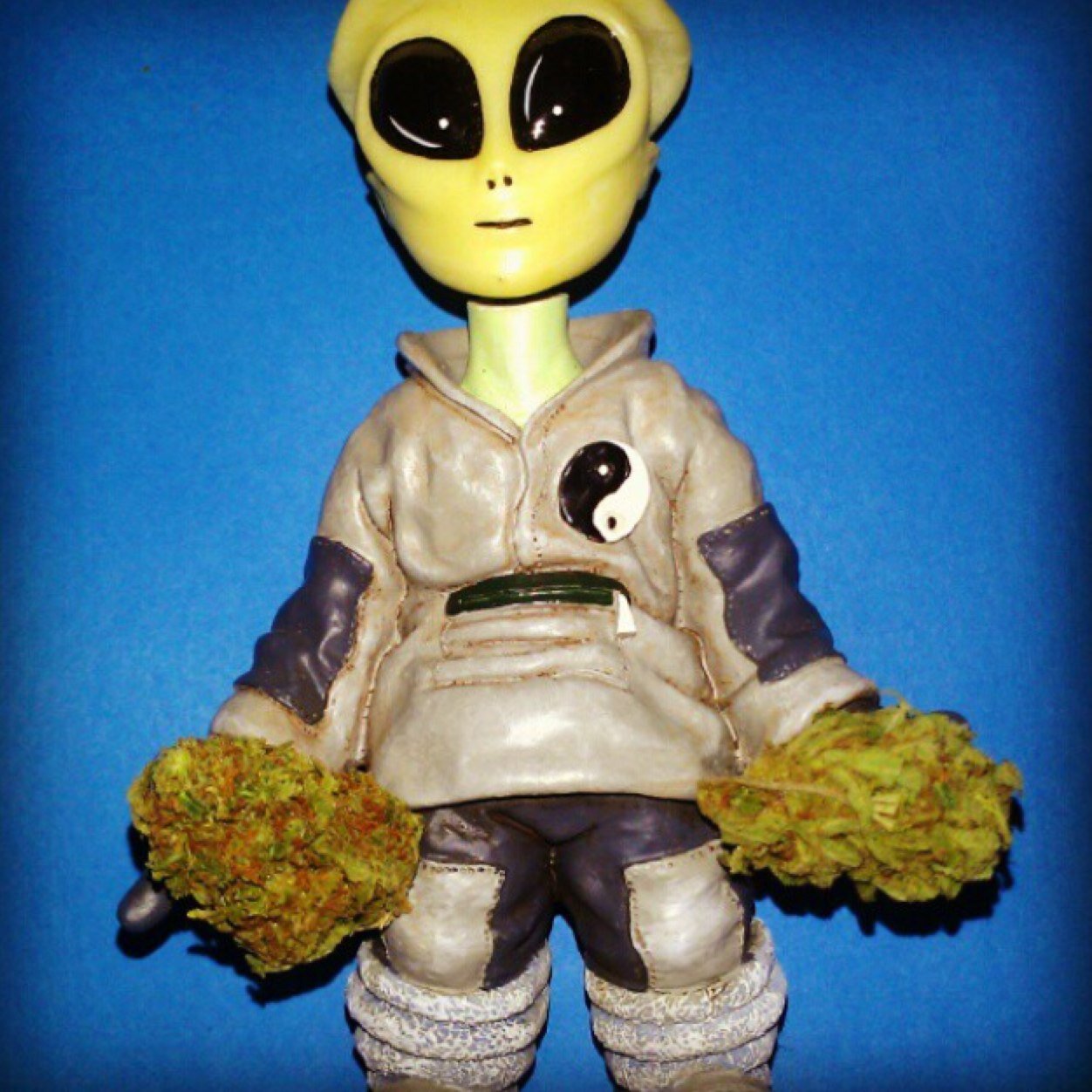 $PACE BAB¥ FL€X Profile