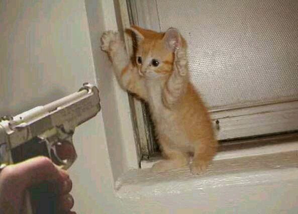hello friends..... ¿hola amigos como estan? ciao a amici come state??......:3
