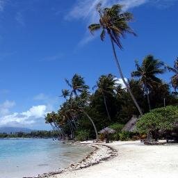 lion_lu's profile picture. 