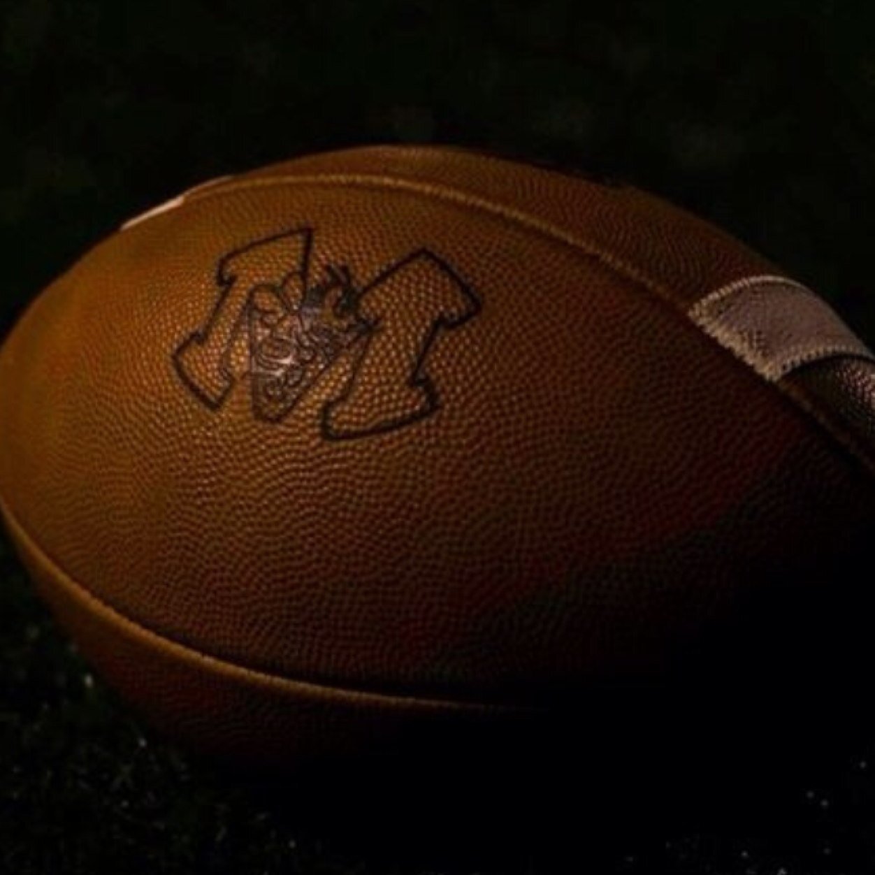 The official twitter for Monroe Hornet Football Players.