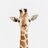 giraffe_sw's profile image