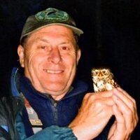 Jeff Hazell(@levelsbirder) 's Twitter Profile Photo