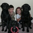 Paul Critchlow - @homeCritchlow - Twitter