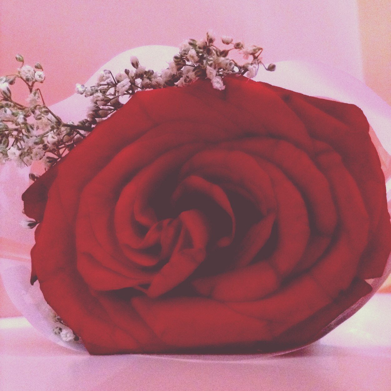 Follow my another account @rbathkar #سبحان الله و بحمده ، اللهم صل على سيدنا محمد. اللهم إنك عفو تحب العفو فاعفو عنا