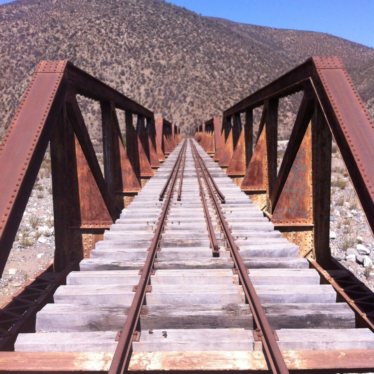 odiazo's profile picture. Ceo Pampa Baja, Garage Beer