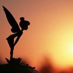 TinkFanFl's profile picture. Sarcasitic Southern Gal. Proud Mom of a Navy sailor and 2 teen sons. Addiction to sunshine,Atlanta Braves, Florida, Disney World and laughing.