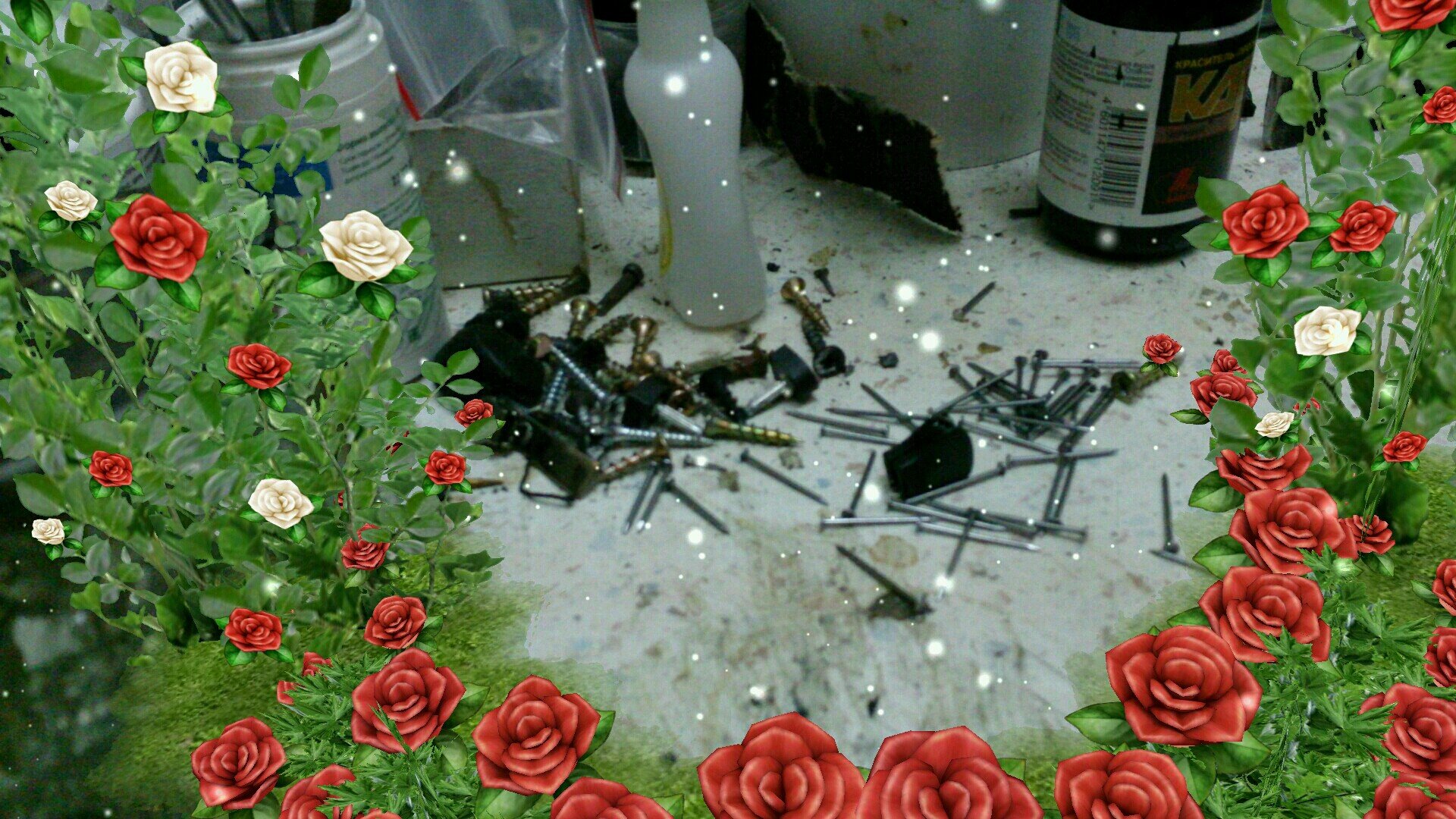 RenatHabib979's profile picture. 