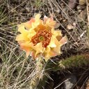 Cora Williamson - @corawilli - Twitter