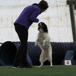 ...some of the best teams our sport has ever seen were just people who loved a dog more than the game.