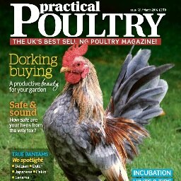 The UK's best-selling chicken magazine