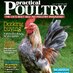 Practical Poultry (@practiclpoultry) Twitter profile photo Practical Poultry (@practiclpoultry) Twitter profile photo