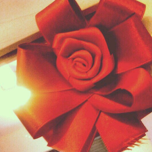 shirkoo0's profile picture. 