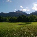 Eileen Hawkins - @Neeliehawkeye - Twitter