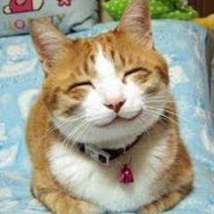 voksildc's profile picture. Hey!Say!JUMPが好きな慎太郎世代? 有岡担!!!矢印魂、疾走魂参戦済み☆気軽に声掛けて下さい? JUMPのFC会員です? ジャニーズWebも入っています! 龍太郎が帰って来ることを心から願っています♪