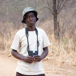 Bird Guide; leads birdwatching tours in Kenya, Uganda, and Tanzania