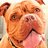 Profile Picture of Beckwith Daniel (@@BeckwithDaniel) on Twitter