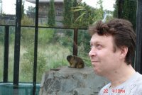 xirumycuzok's profile picture. — Народ, посоветуйте фильм какой нибудь типа Бумера или Брата. — Бумер-2 и Брат-2. — Спасибо!