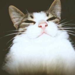 _Heartgrenade Profile Picture