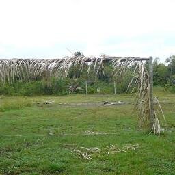 ResponsiveUI's profile picture. User Interface Enthusiast