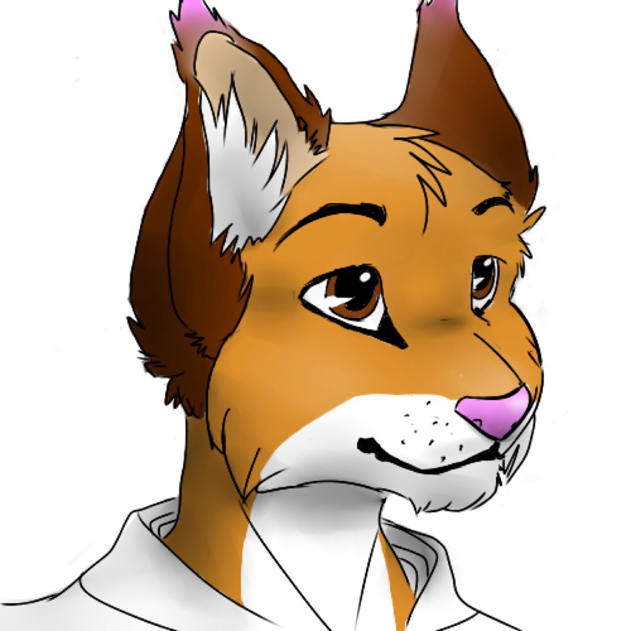 trashy Lynx - 18 - single - mainly hot for men - writer / photographer / memer - kik: spindellmusic - always open for dms or whatever