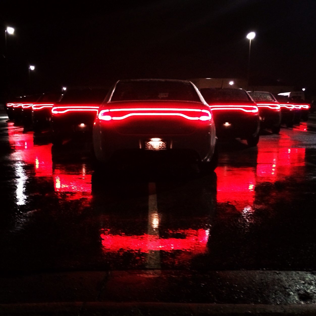 dartsofohio's profile picture. 