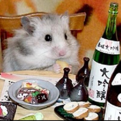 ジャンガリアンキング