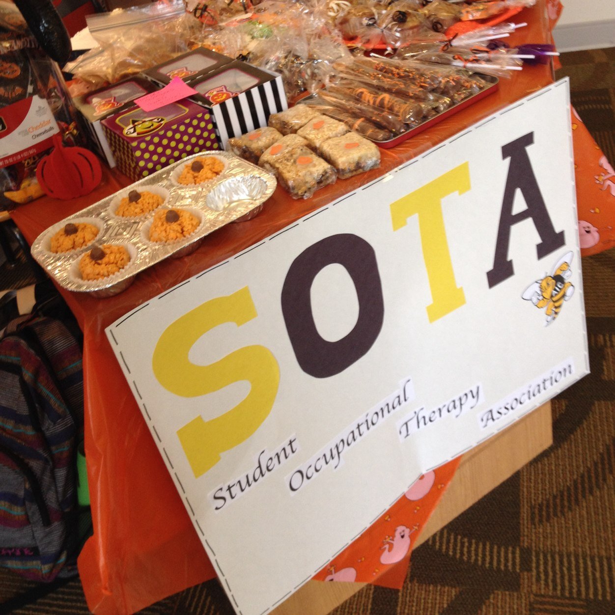 Student Occupational Therapy Association @ American International College.