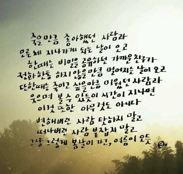 중앙통신뉴스 연예부기자