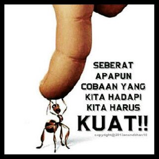 Nak palu sulteng