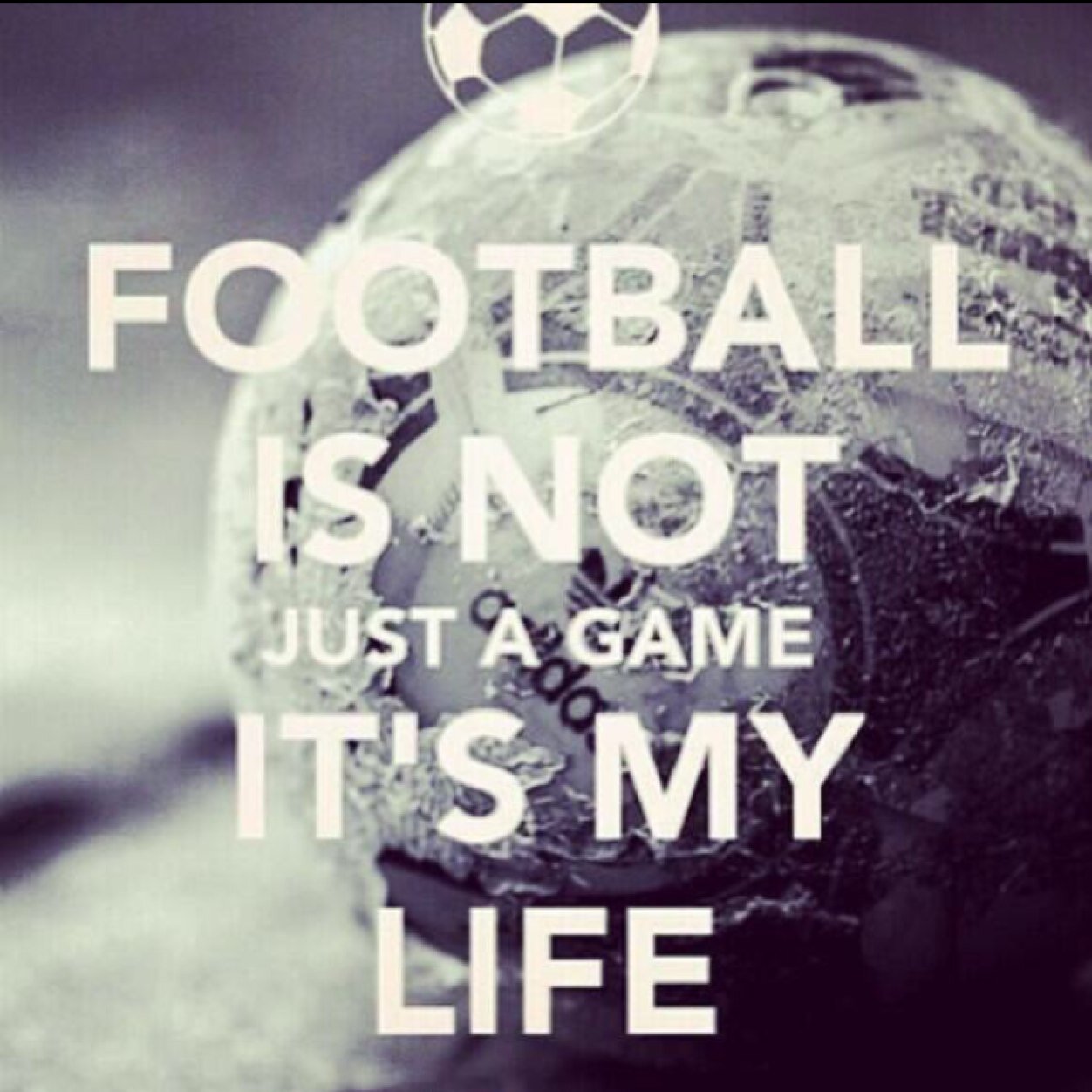 AT17foot's profile picture. Le Foot, plus qu'un sport.. une passion | numero 7 #Ronaldo #HalaMadrid