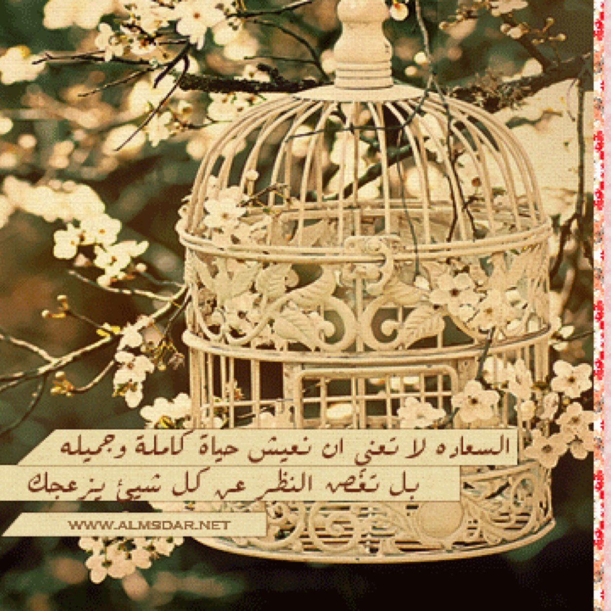 لي أحلام سمآويه أهتم كثيراً بكل مايخص مجال تطوير الذآت ومجال التربيه تخصصي إجتماعي  --والقراءه هي متعتي الأولى | ربي أملأ قلبي بحبك ❤️