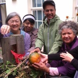 We are a community led co-operative of patients, doctors, nurses and Lambeth residents who grow food together in and for the NHS.