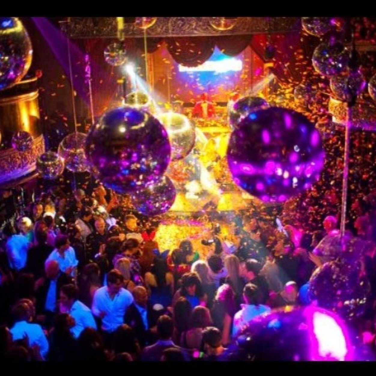 okaybooray's profile picture. master class :: horse's ass