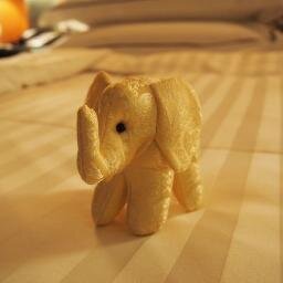 heifenbrug's profile picture. Bond Connect/Forex Trader