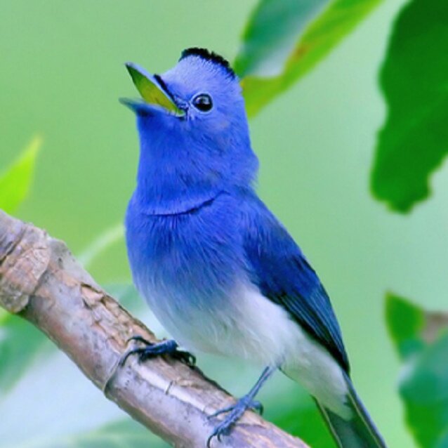 wish2hope's profile picture. 