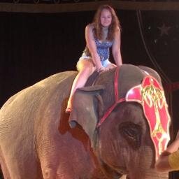 CPig10's profile picture. Went to Munich but missed my hometown so I'm back now.