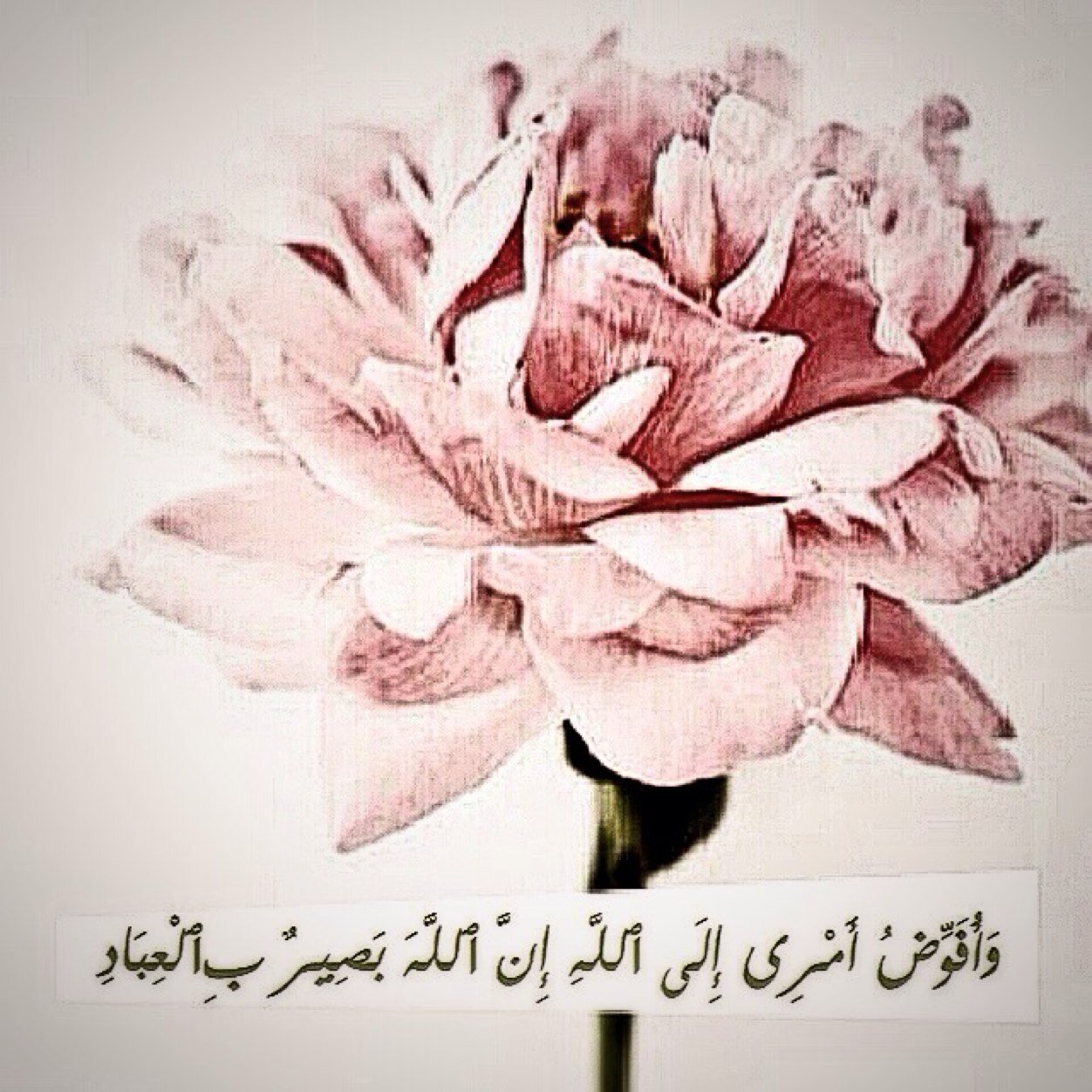 سُبحانْ اللّٰہ ، الحمدُ لله ، لا إلهْ إلا اللّٰہ ، اللّٰہ أكبر ♡ =)