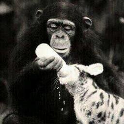 sec_advisor's profile picture. 