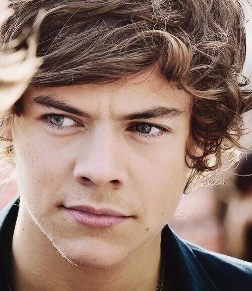 please follow @_americanhxrry thank you!