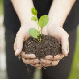 Todo lo que quieras saber sobre la Jardinería