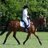 WilsonEventing's profile image