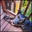 writing4rescues's profile image