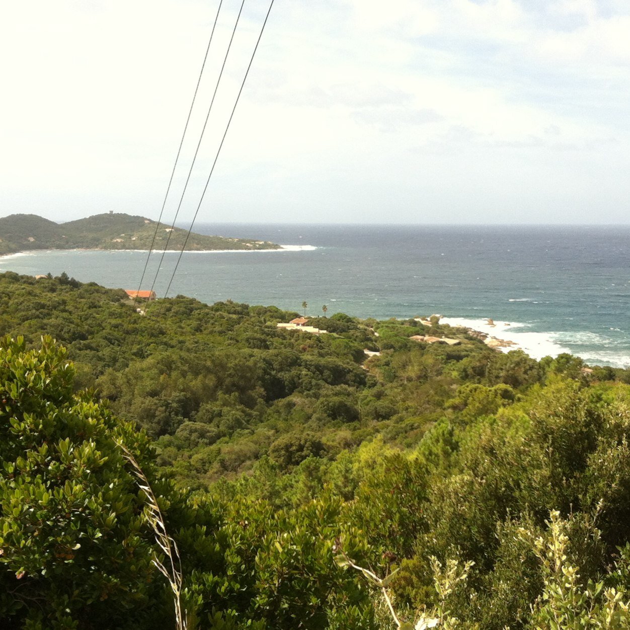 عبدالله الفرحان