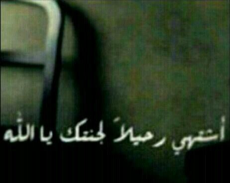 آمي انفث فيك تعاويذ حبي  وأعيذكِ يَ عمري من قدوم  يوماً يخلو منكِ يَ جنتي '  