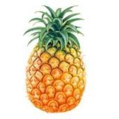 The official twitter feed of Clemson's PRTM 447 International Tourism class