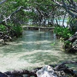 PPDLajas's profile picture. Si no amas la TIERRA no amas la VIDA