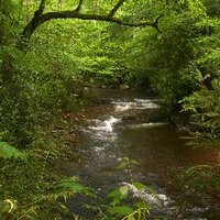 Abacus (@iale2014) 's Twitter Profile