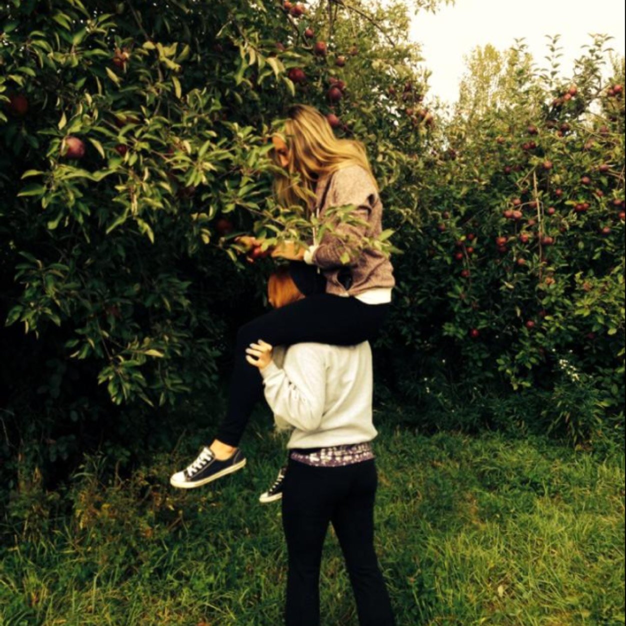 nicole_collins3's profile picture. 