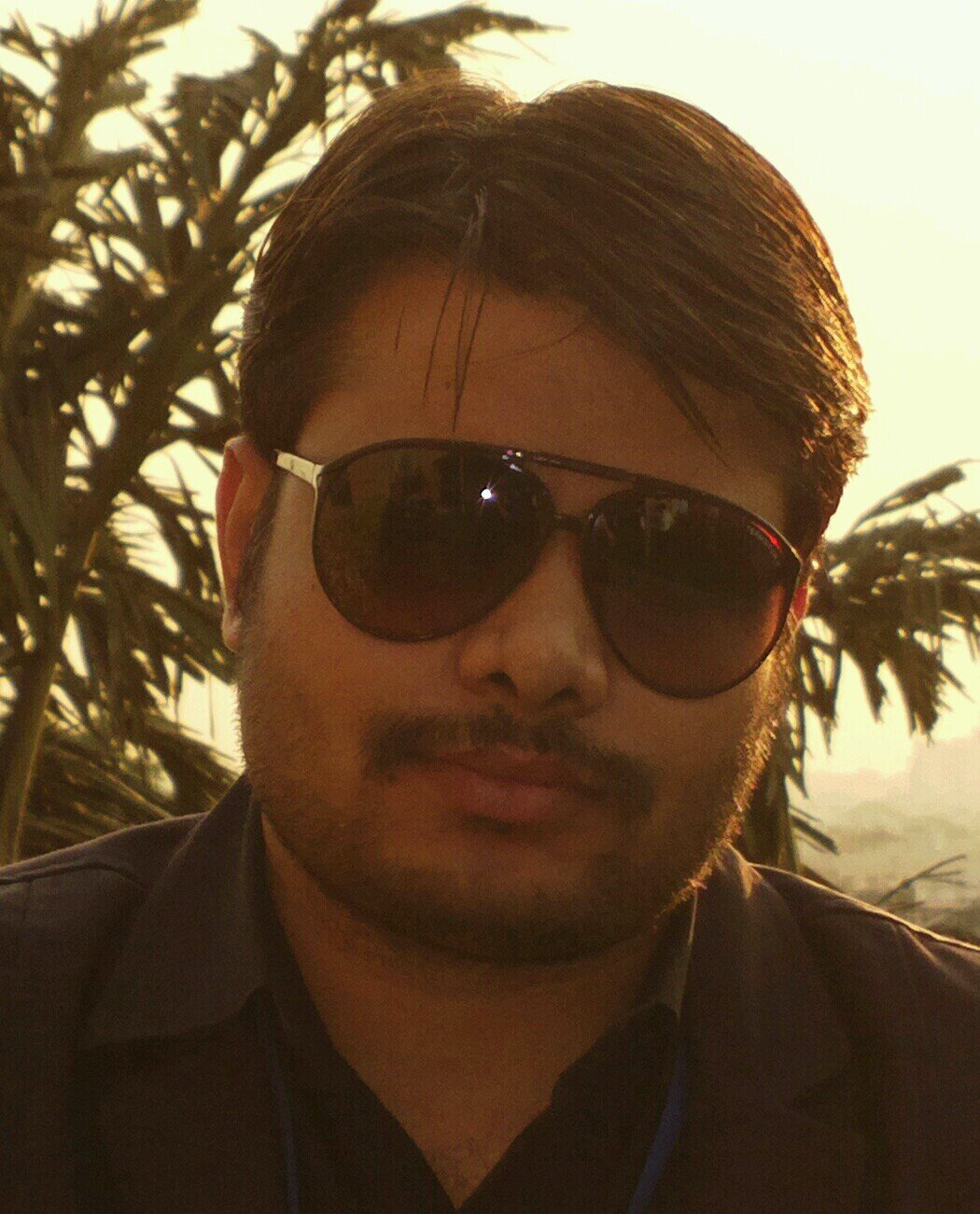 utksing Profile Picture