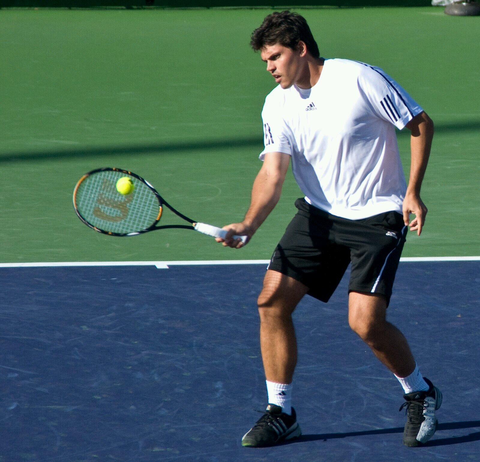 tennis fan&coach